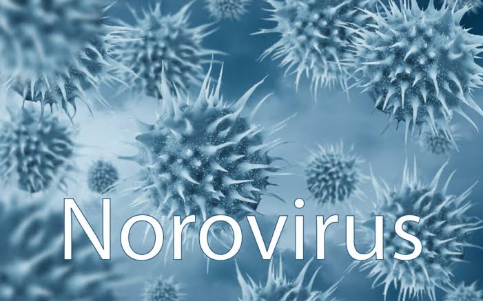 Norovirus