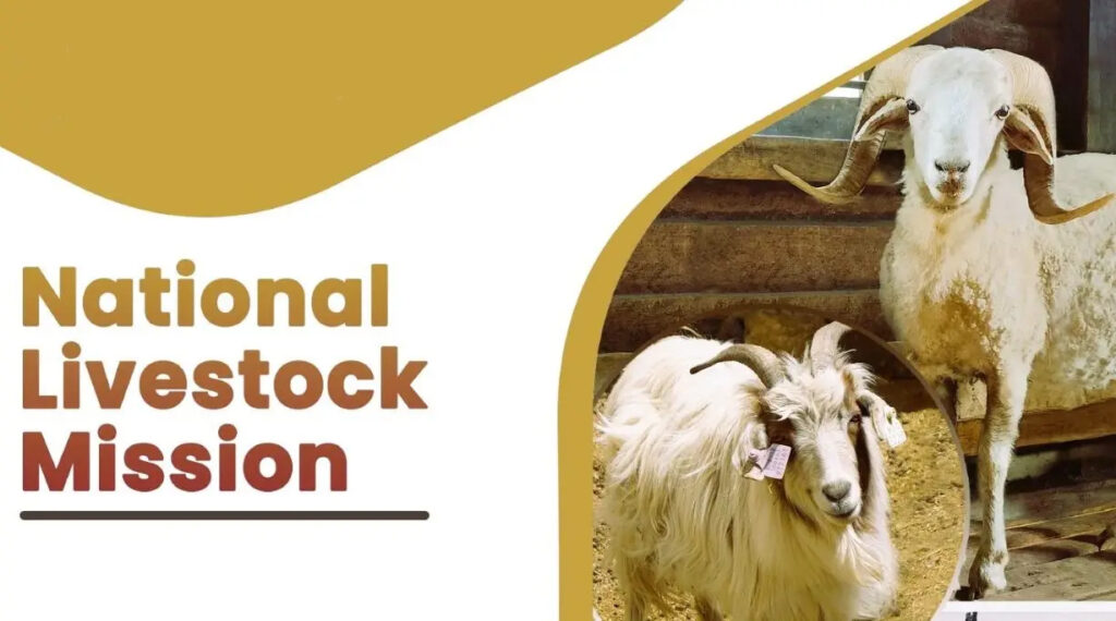 national livestock mission