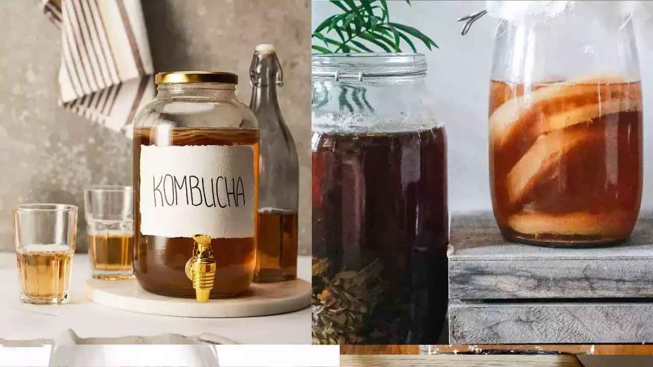 kobucha tea