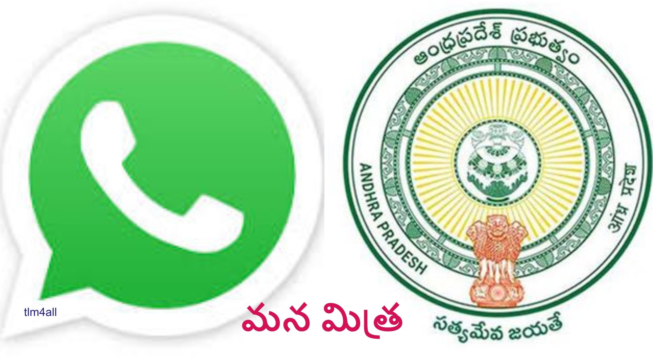 WhatsApp governance services, AP