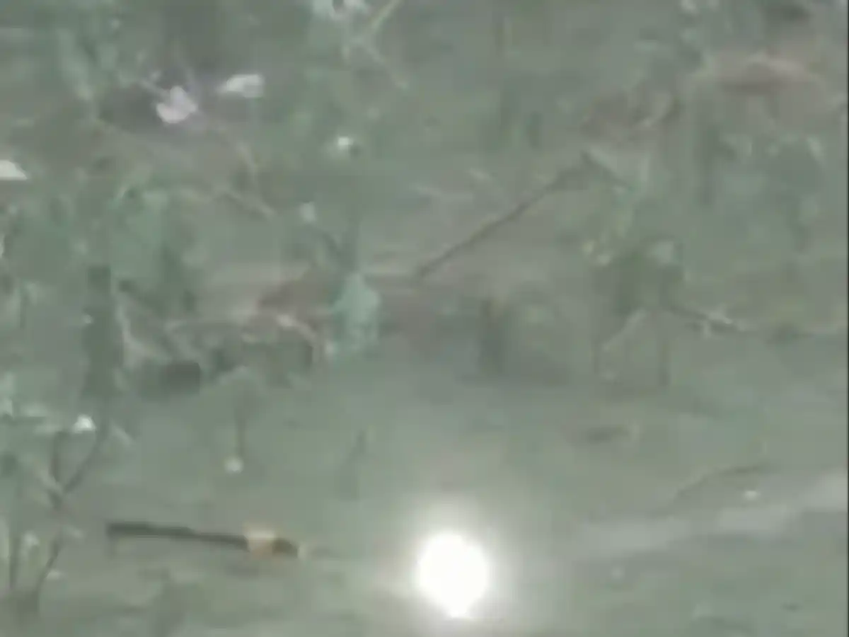 Lightning strikes and the light stays on for about 14 minutes