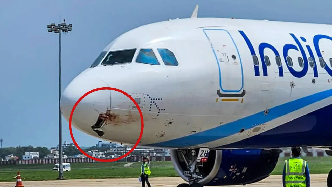 IndiGo Aircraft Hit By Vulture At 4000 Feet, Makes Emergency Landing At Ranchi Airport