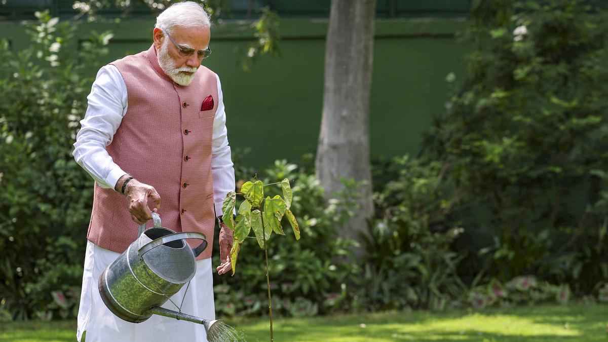 On World Environment Day, PM Modi plants sindoor sapling at residence
