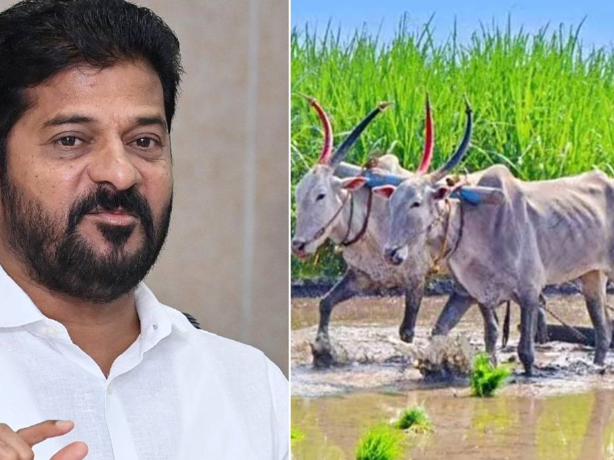 REVANTH REDDY RYTHU BHAROSA