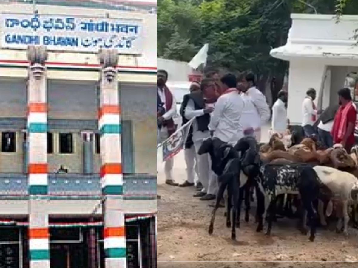 gandhi bhavan