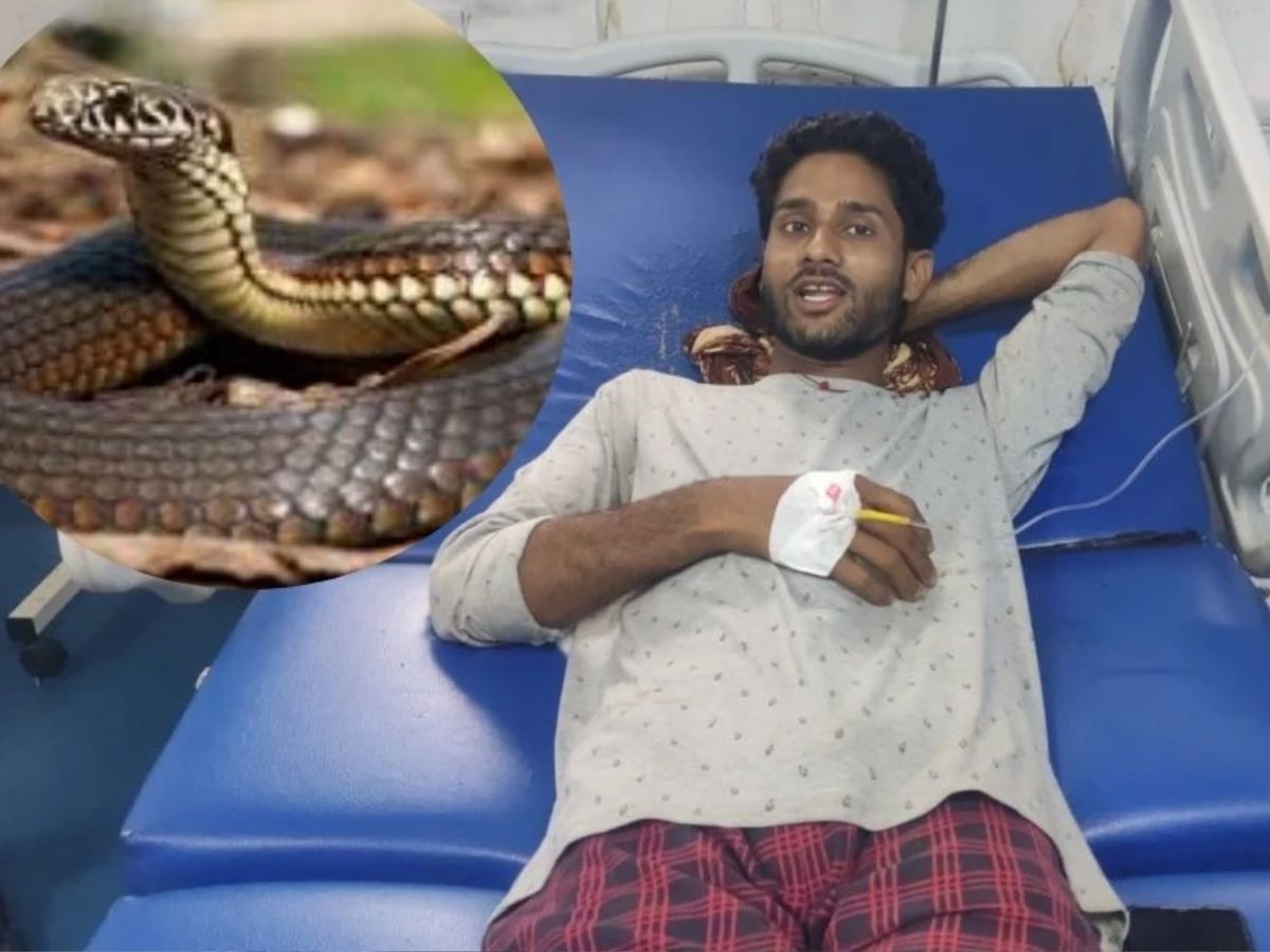snake
