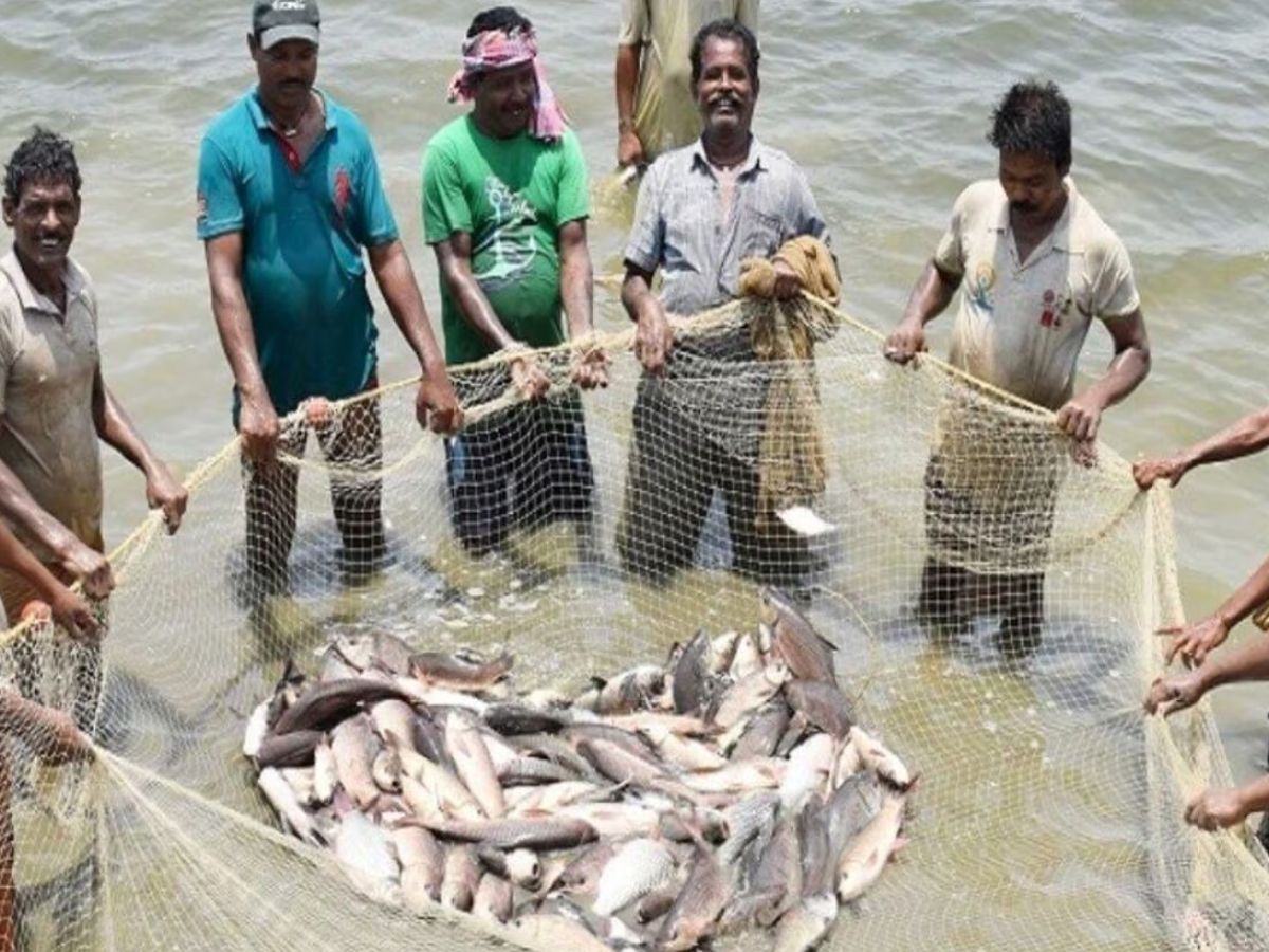 FISH