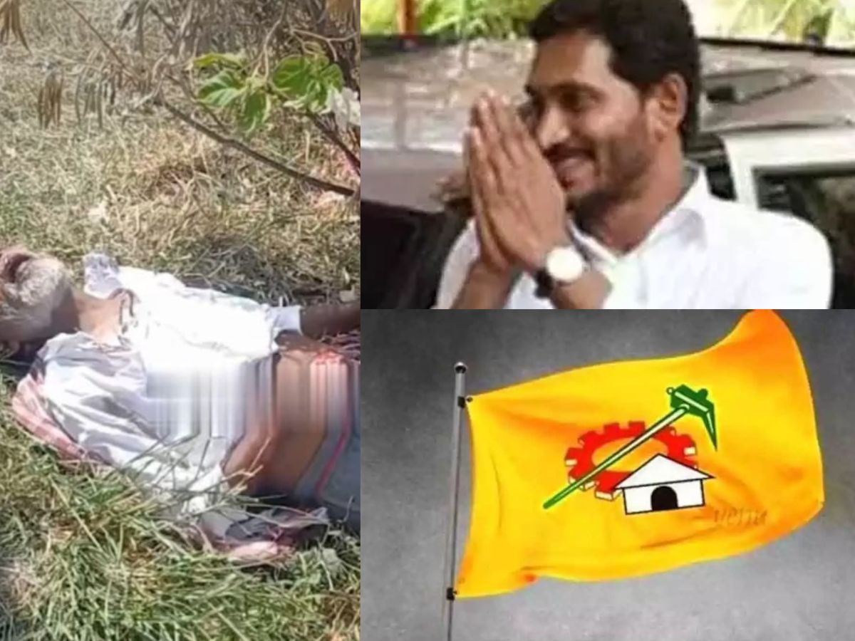 tdp jagan
