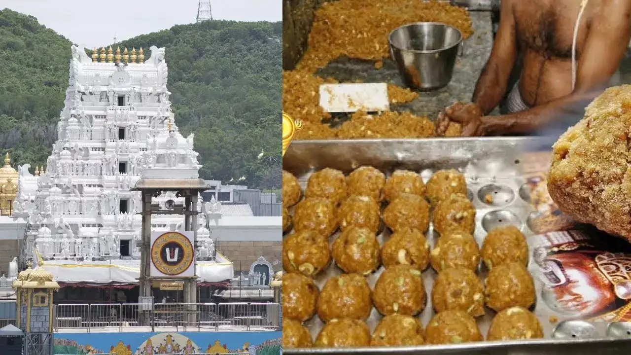 Another good news for Tirumala Srivaru Update on the food of devotees