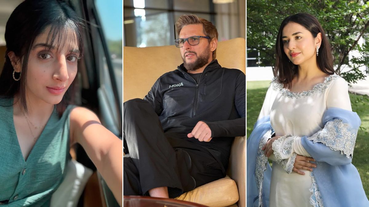 Ban on Pakistani celebrity accounts and media channels lifted