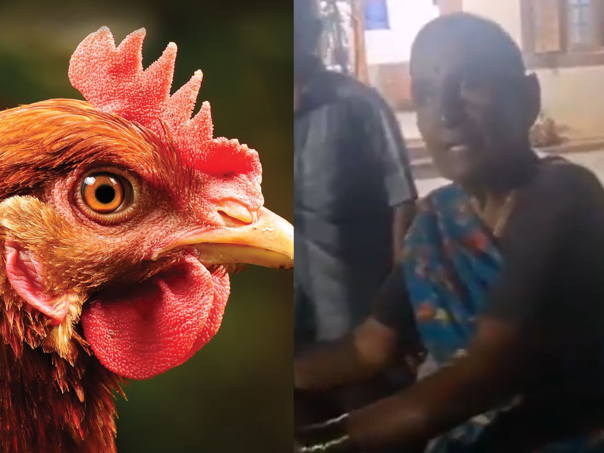 Woman files police complaint against chicken for beating