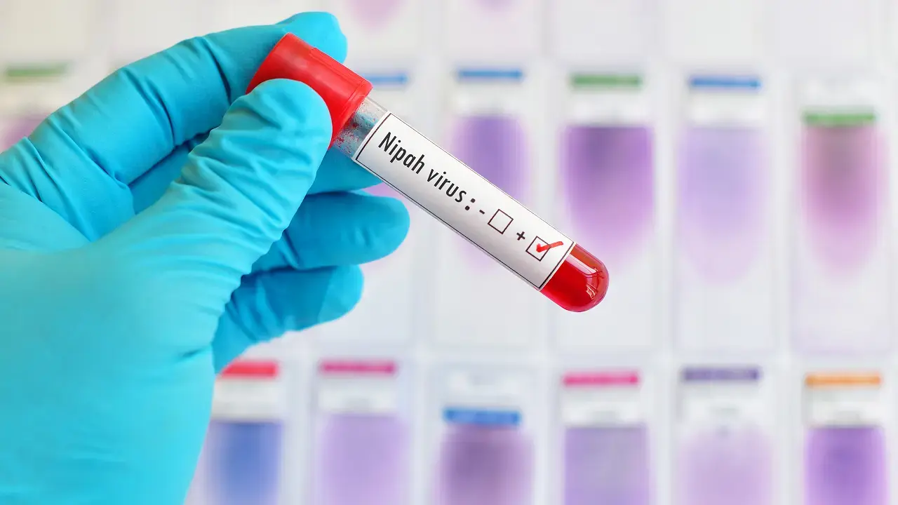 Kerala reports second Nipah death in days, six districts under high alert
