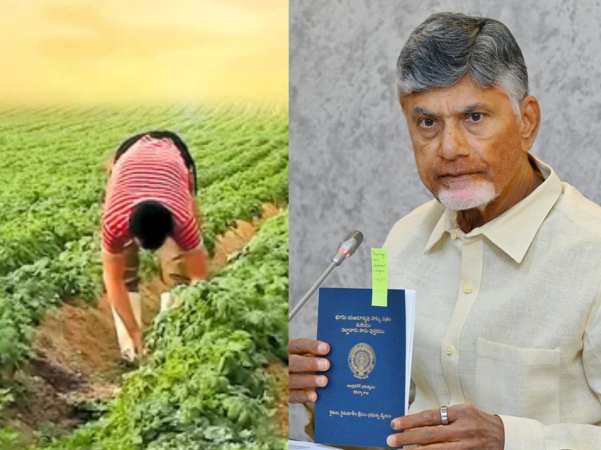 New passbooks for farmers by August