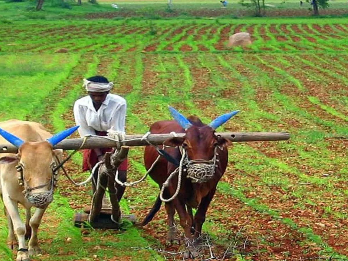 260 crores will be deposited in the accounts of farmers in AP today