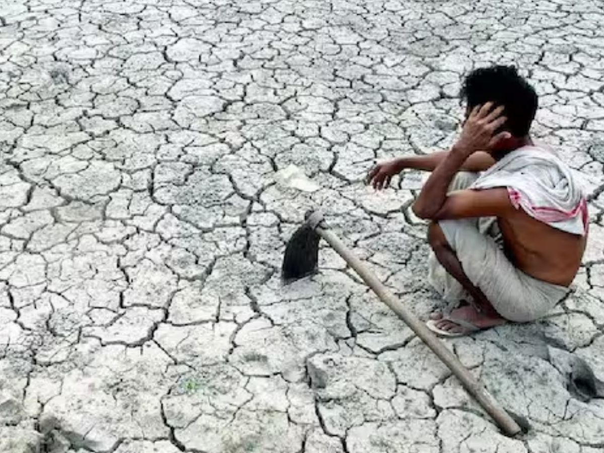 Maharashtra: Farmer suicide crisis deepens in Maharashtra, 767 deaths reported in 3 months