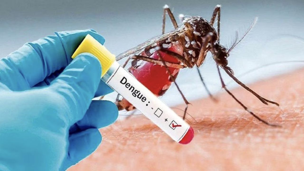 Dengue Alert This Rainy Season – These Signs Could Put Your Life at Risk!