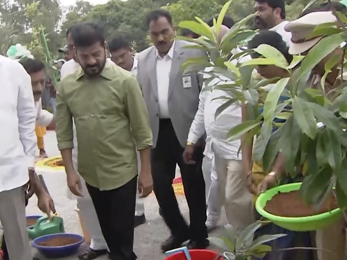 CM Revanth Reddy , Rudraksha plant
