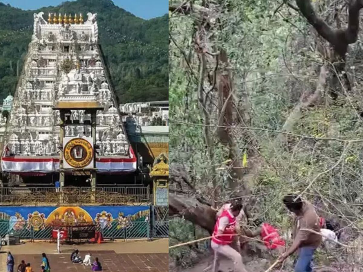 Tirumala, ttd, tirumala valley