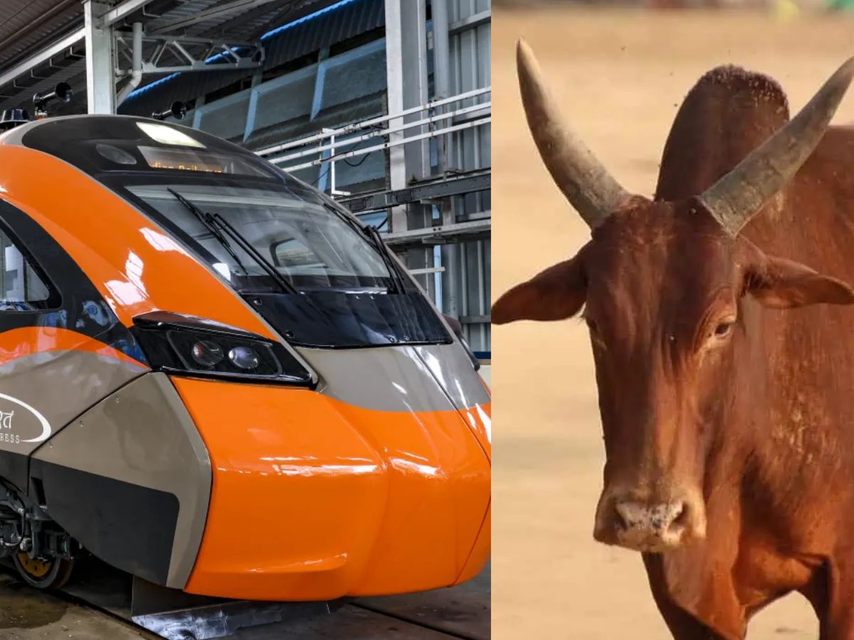 Big accident in AP Vande Bharat Express hits a bull