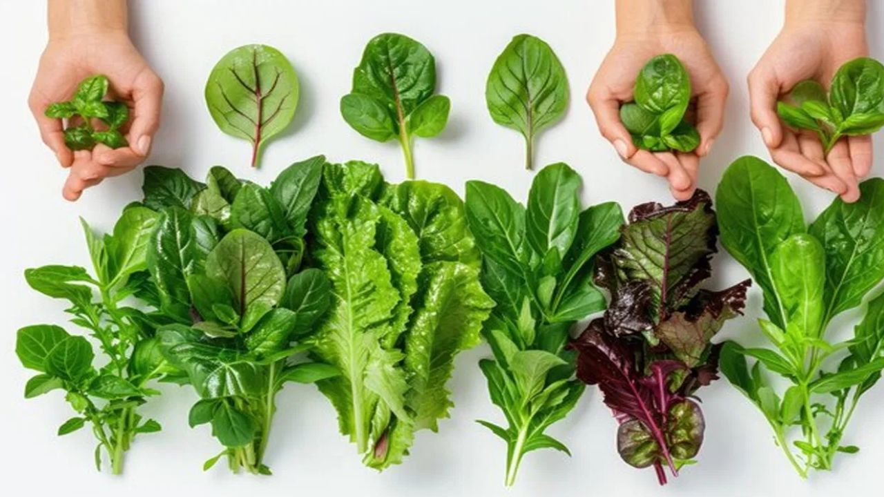 Leafy Veggies in the Rainy Season – Healthy or Risky?