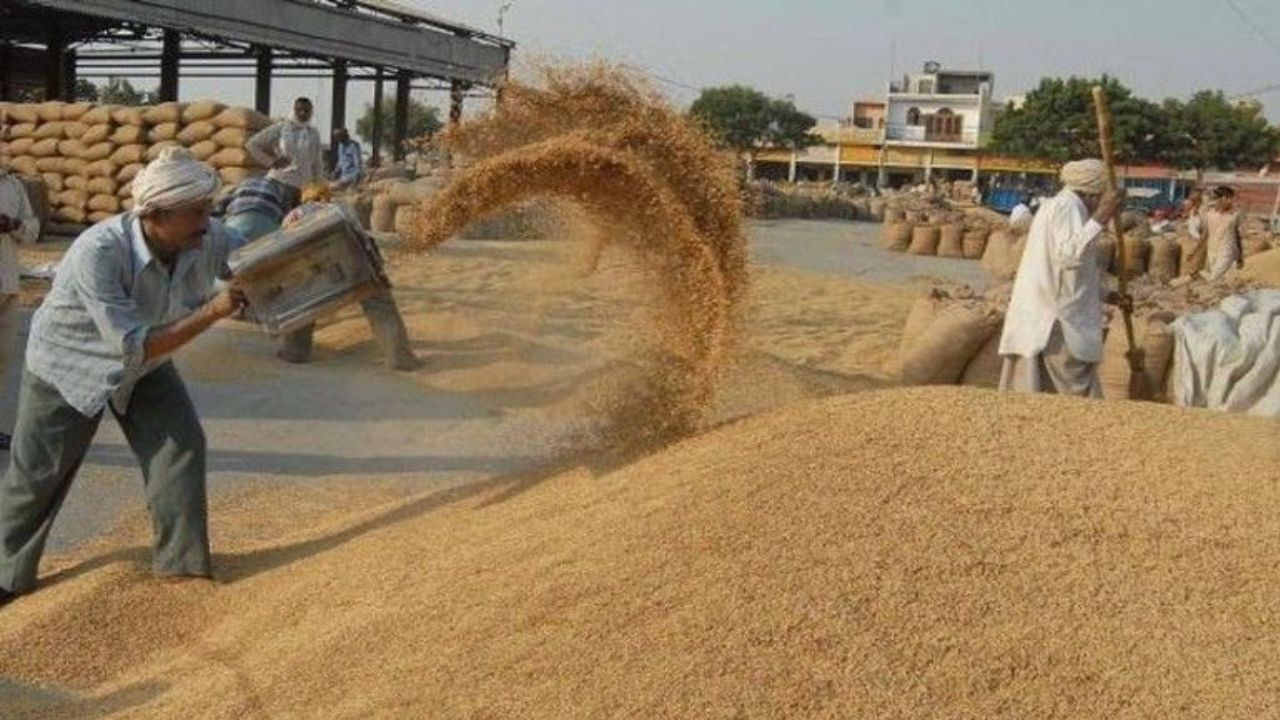Centre Sanctions ₹3 Lakh Crores for MSP Grain Procurement