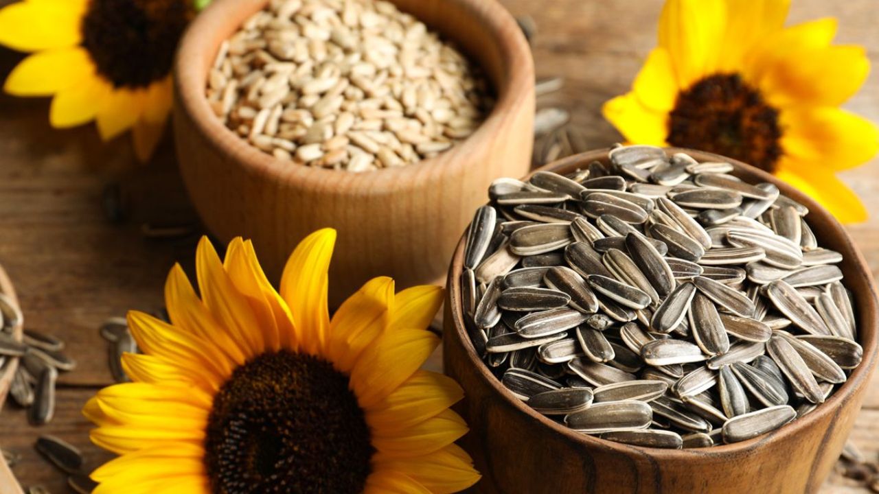 Do You Know the Health Benefits of Vitamins in Sunflower Seeds?