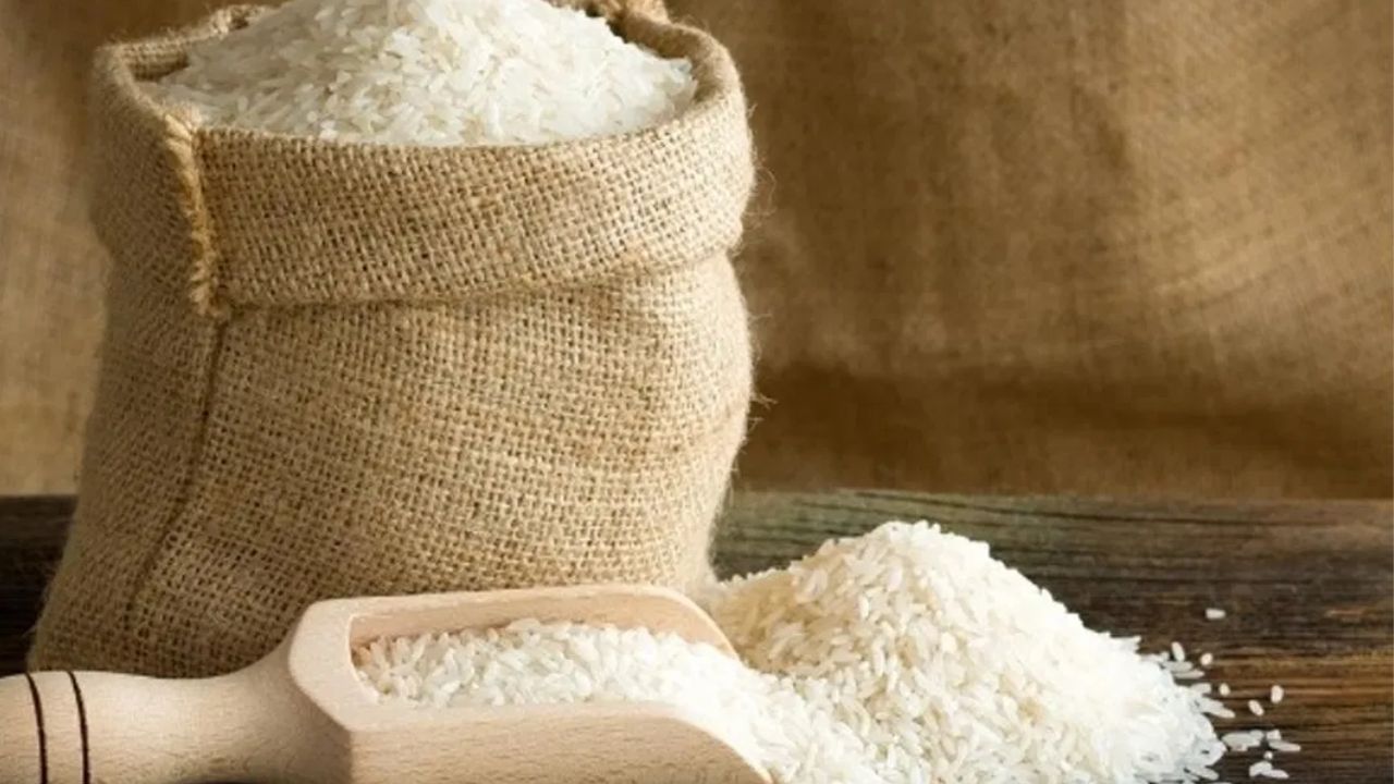 Easy Way to Protect Rice from Insects in Rainy Days