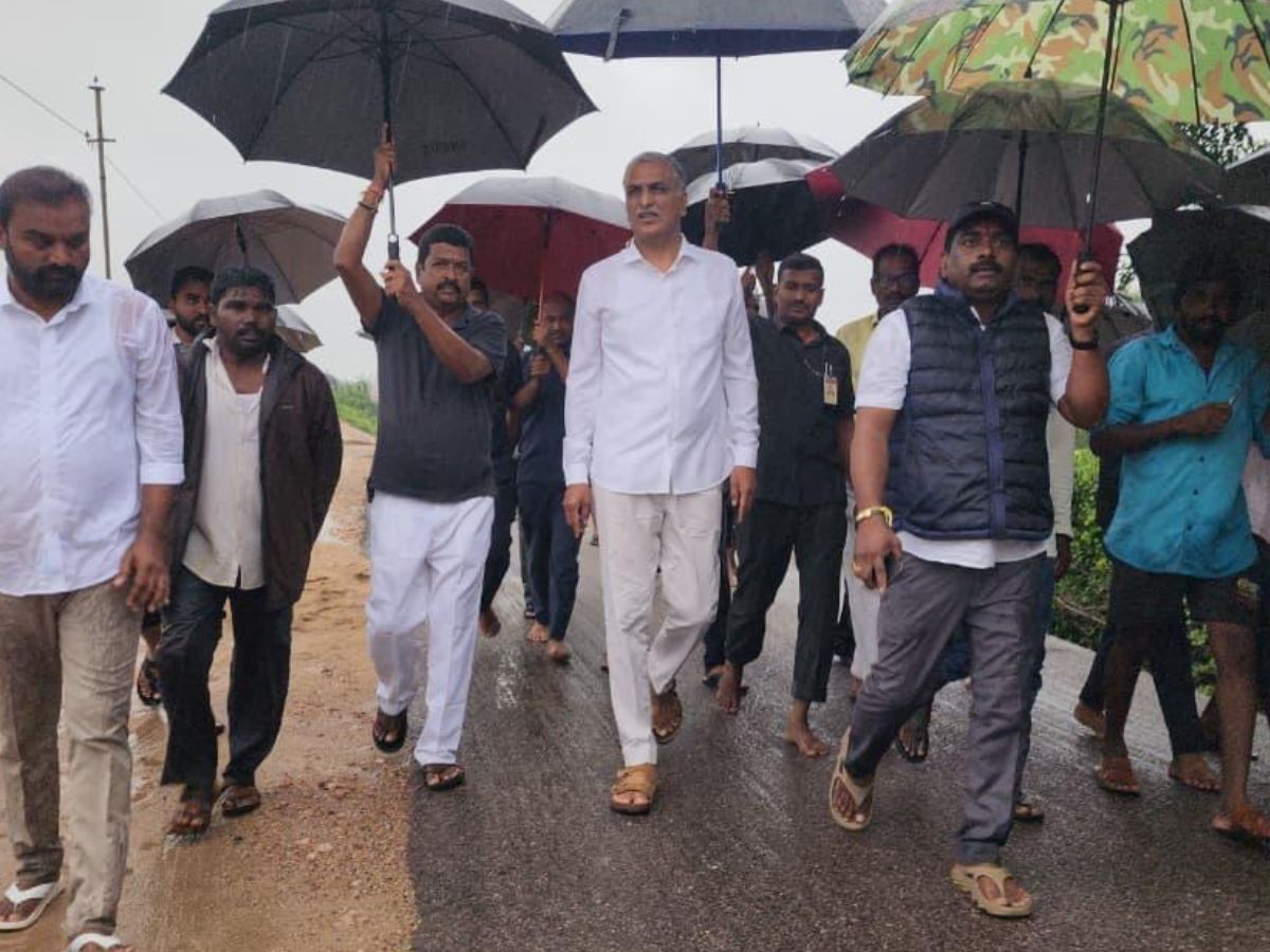 harish rao