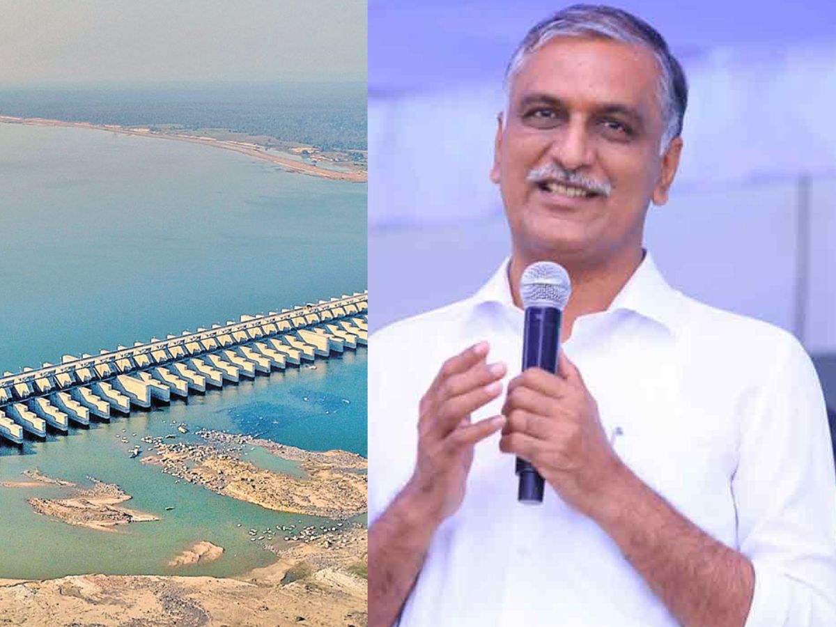 harish rao