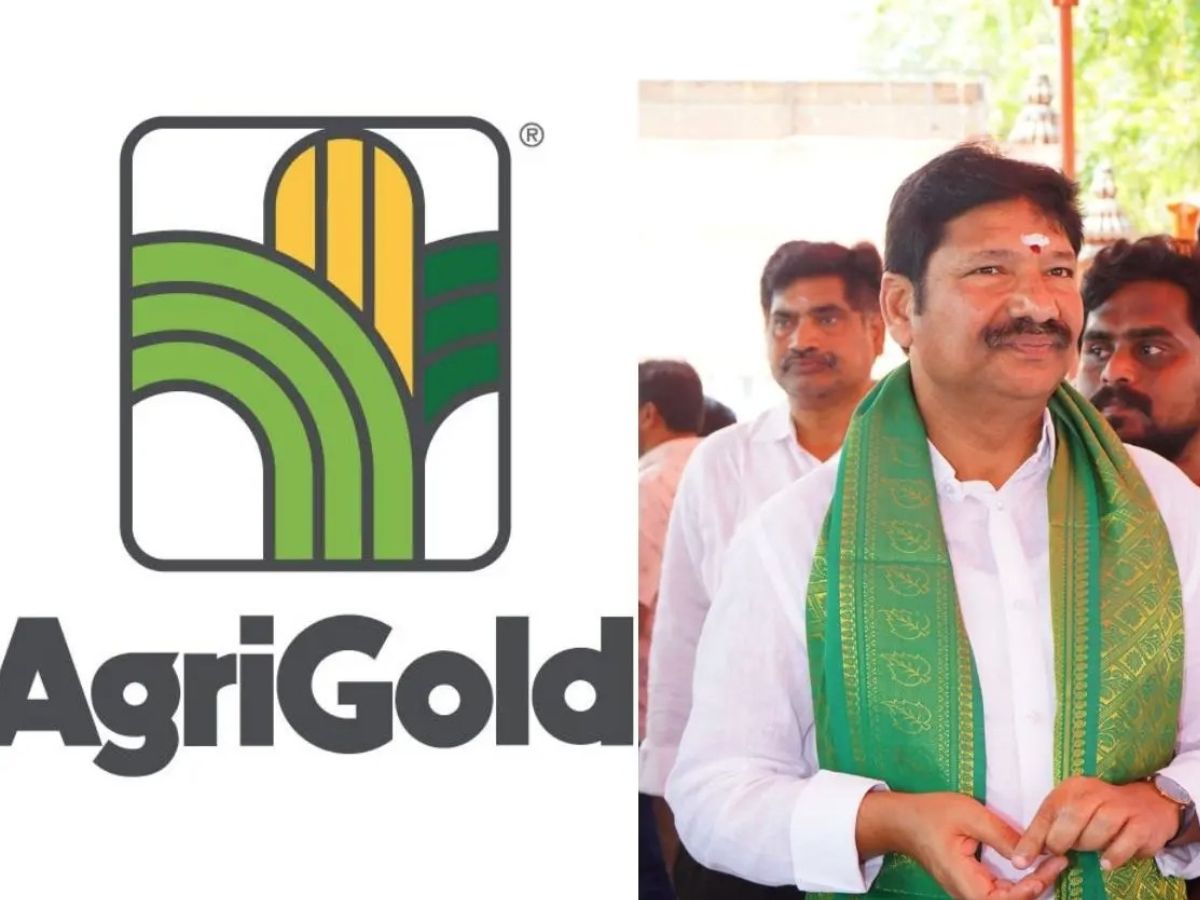 Former Minister Jogi Ramesh is being framed in the Agrigold land case