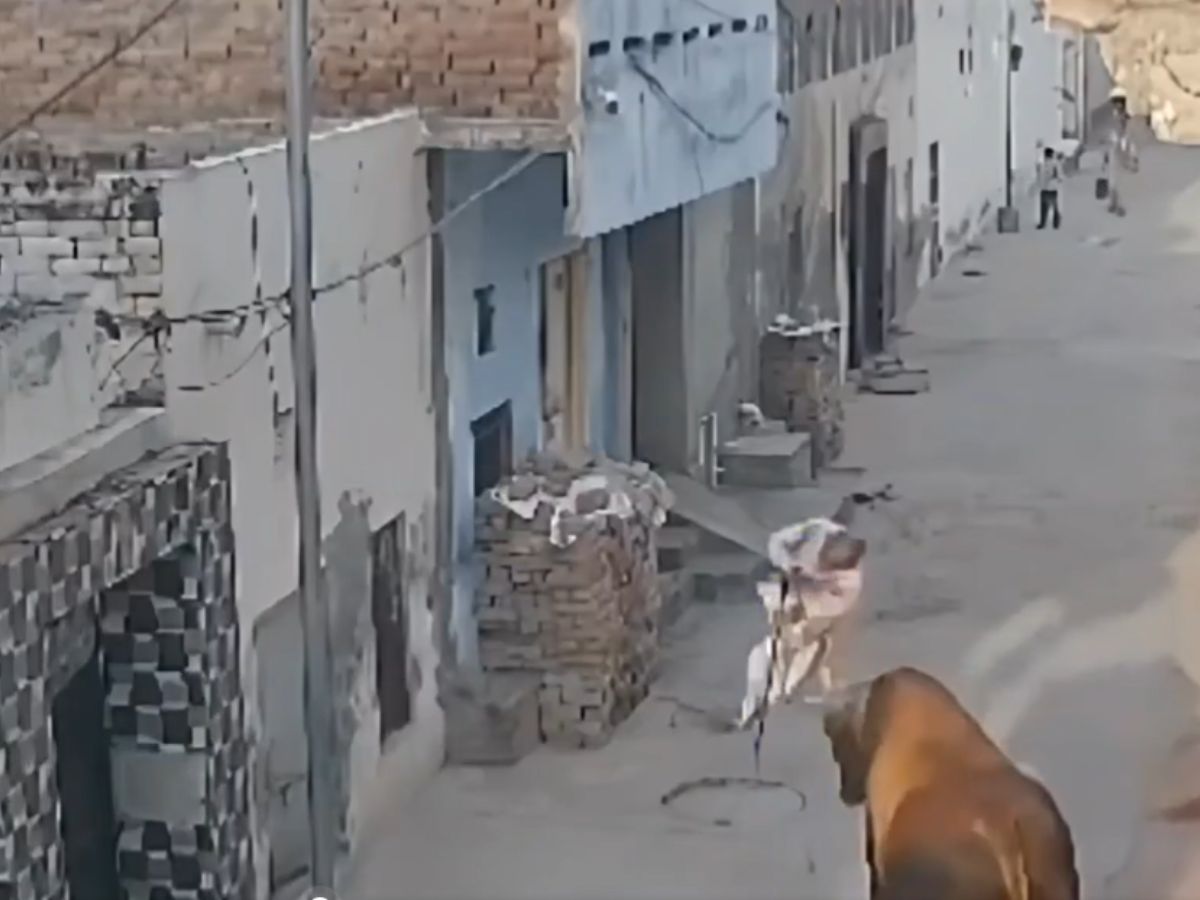 Basavanna got angry and threw a seventy-year-old man