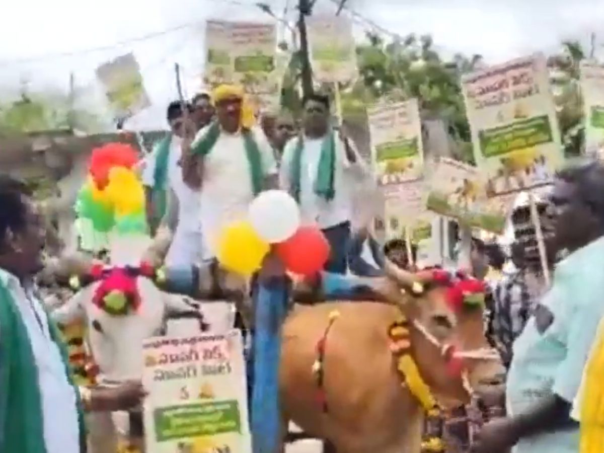 TDP Kothapet MLA Bandaru Satyananda Rao and TDP leaders sustained minor injuries