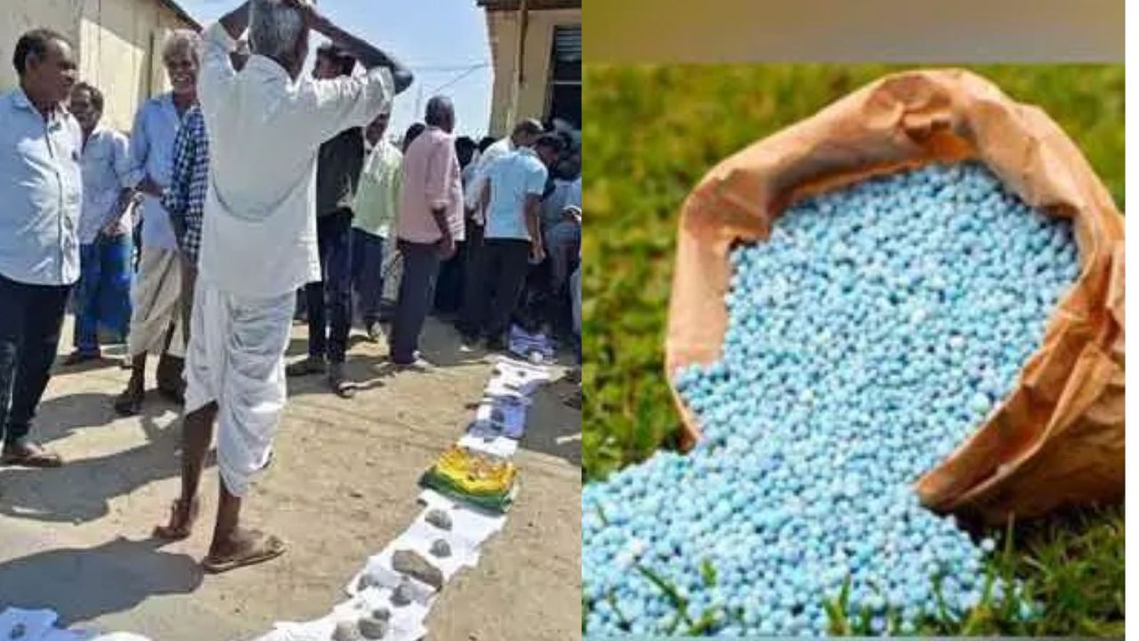 Center assures immediate allocation of 50 thousand metric tons of urea