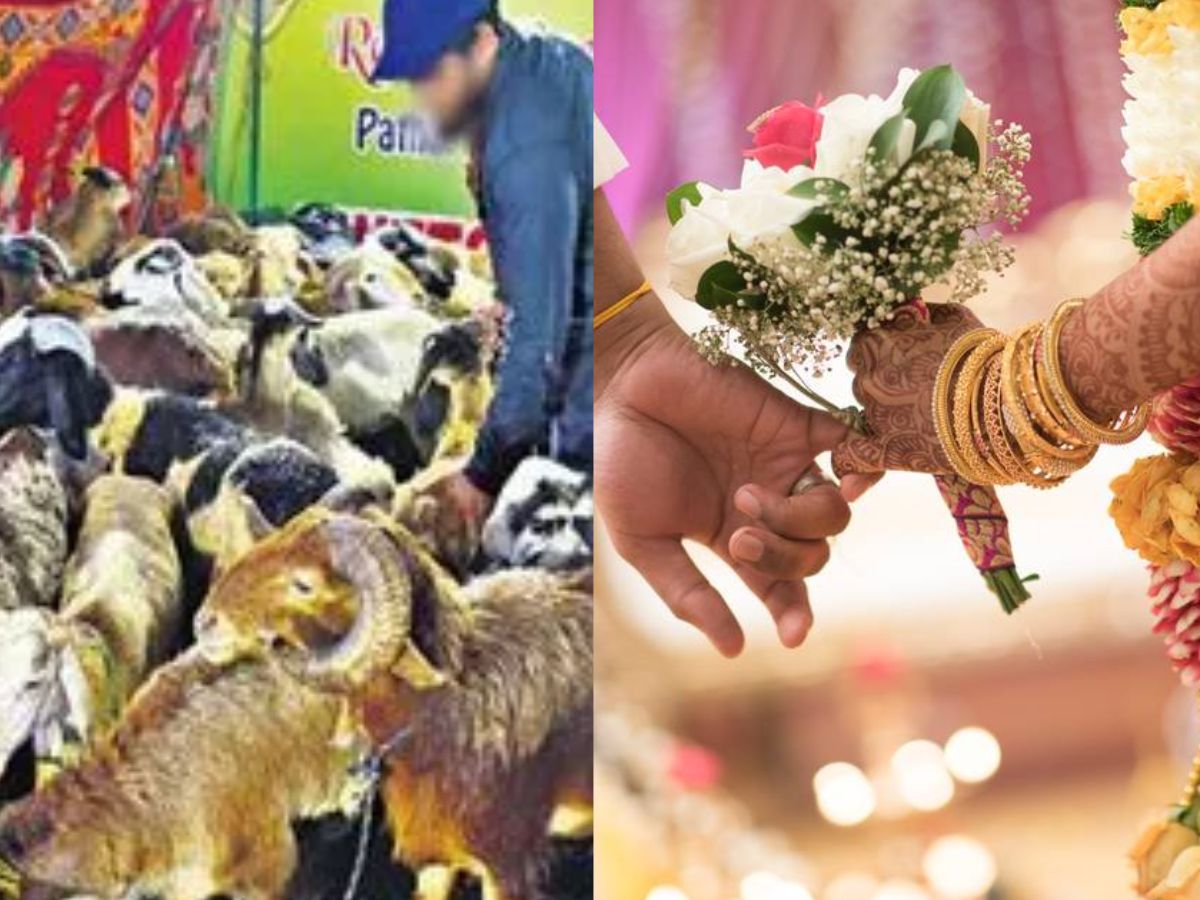 100 weddings postponed due to lack of sheep and goats