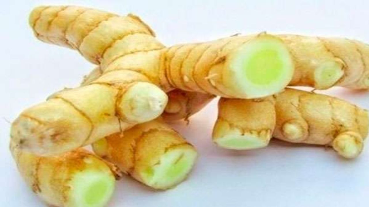 Mango Ginger: A Natural Remedy for Better Health