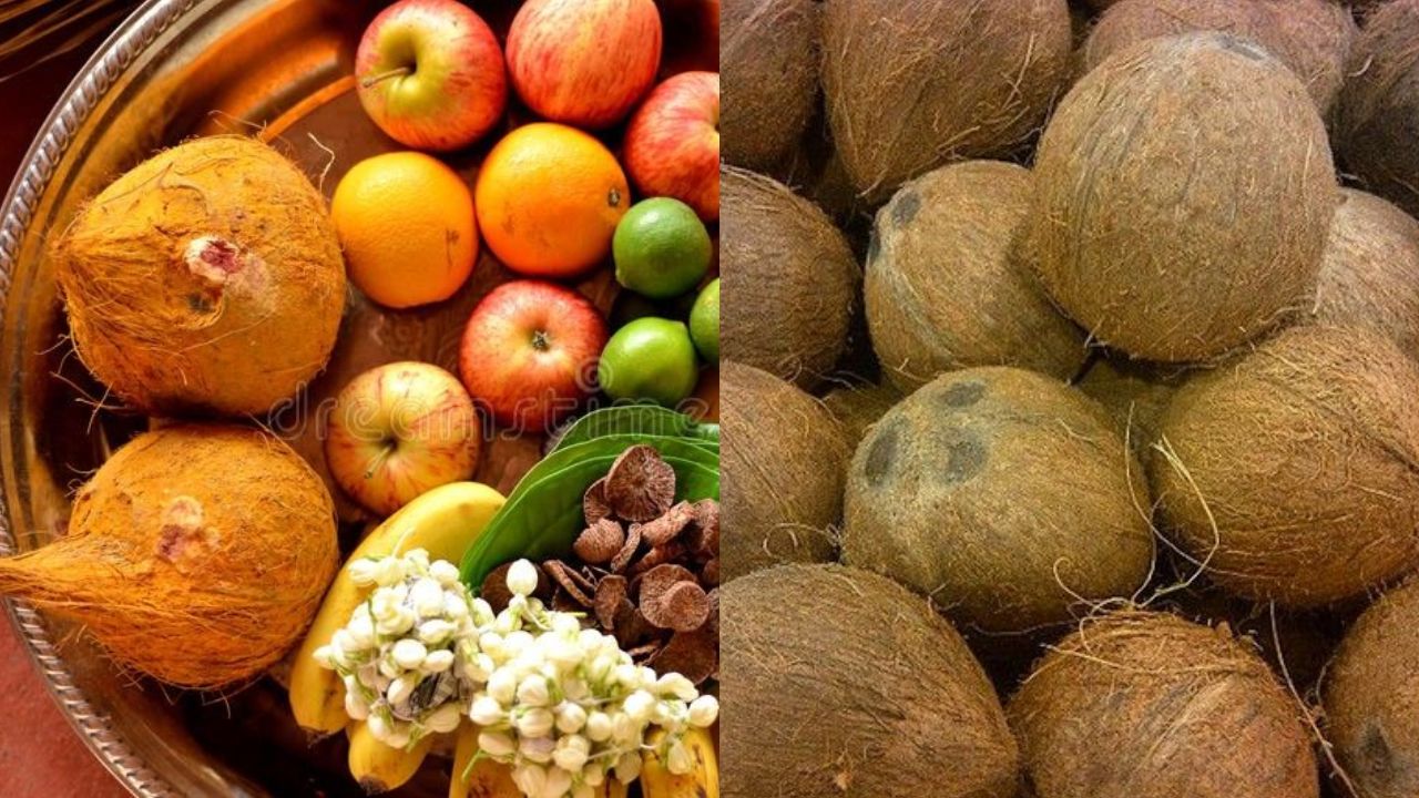 Why Are De-Husked Coconuts Not Used in Pooja?