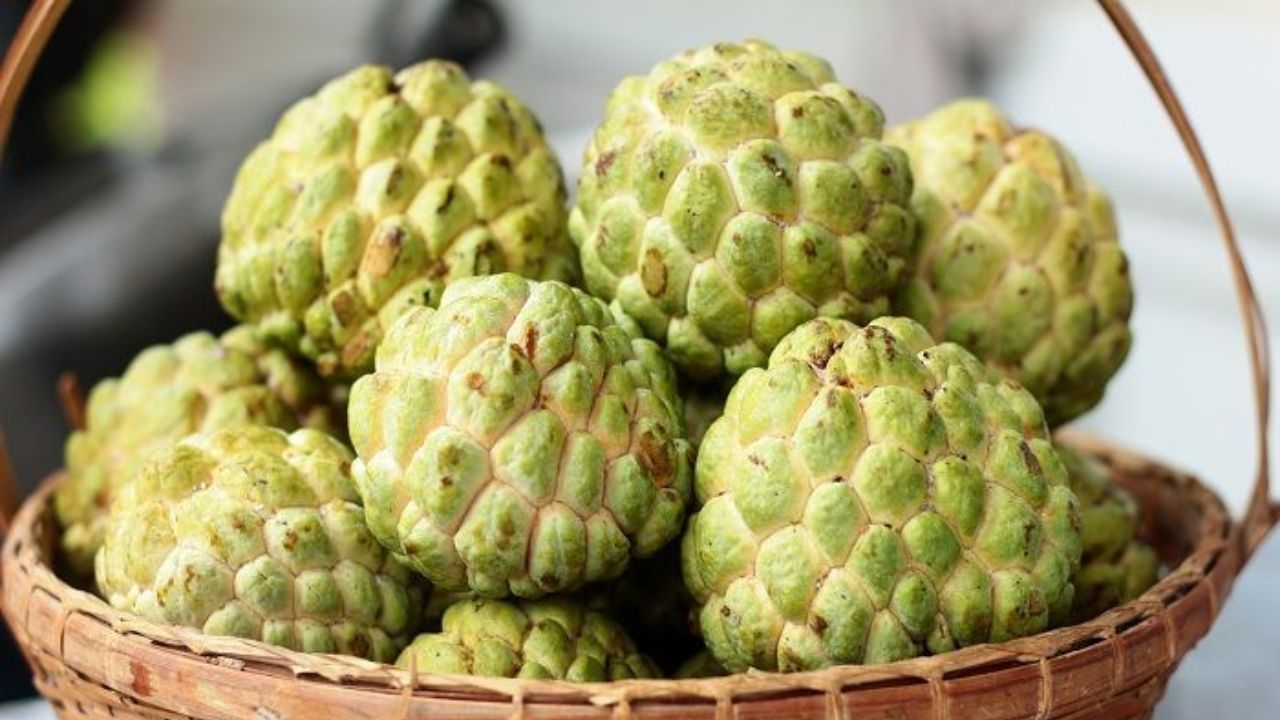 Custard Apple Warning – Who Should Not Eat This Fruit?