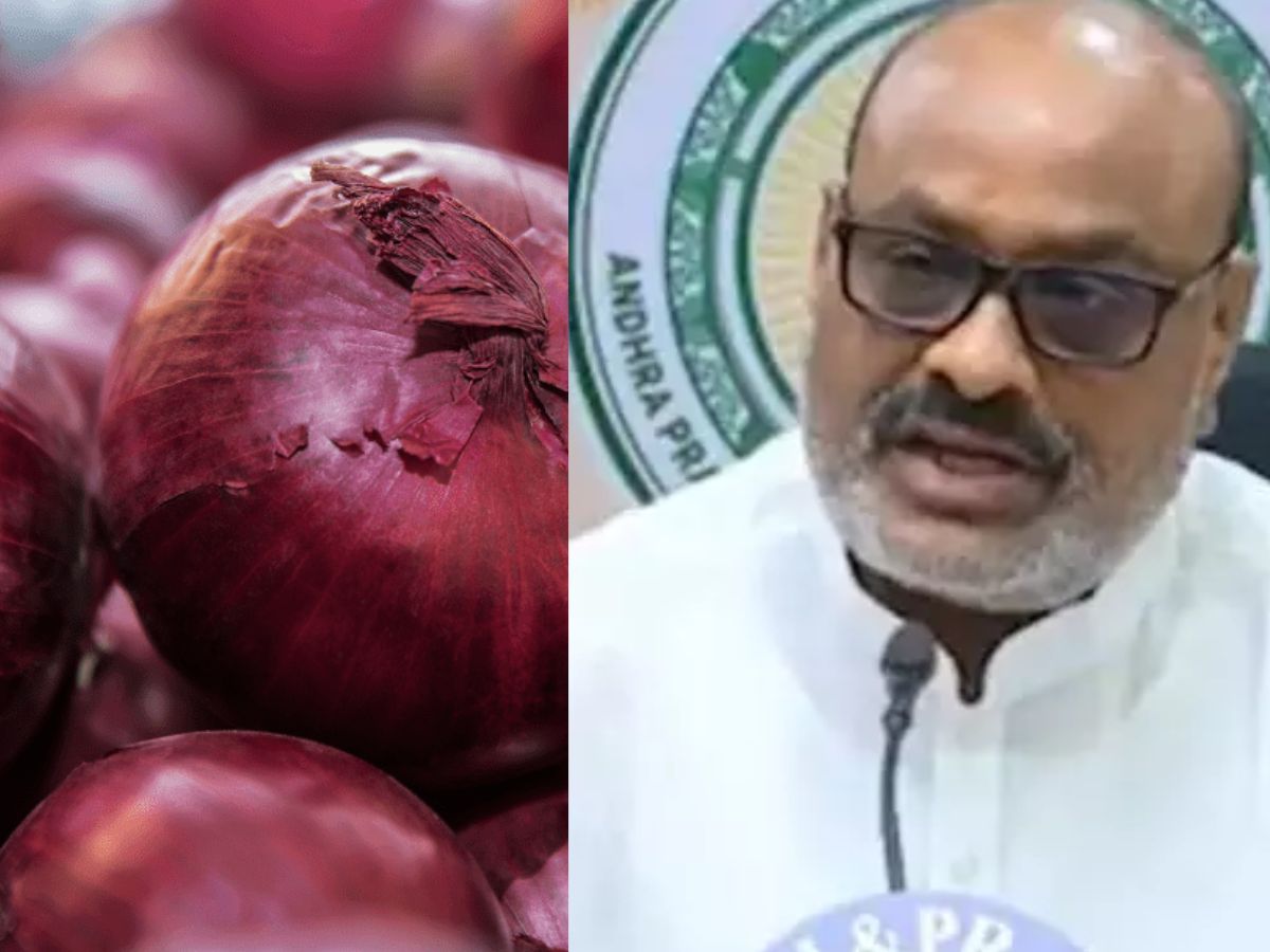 atchannaidu on onion