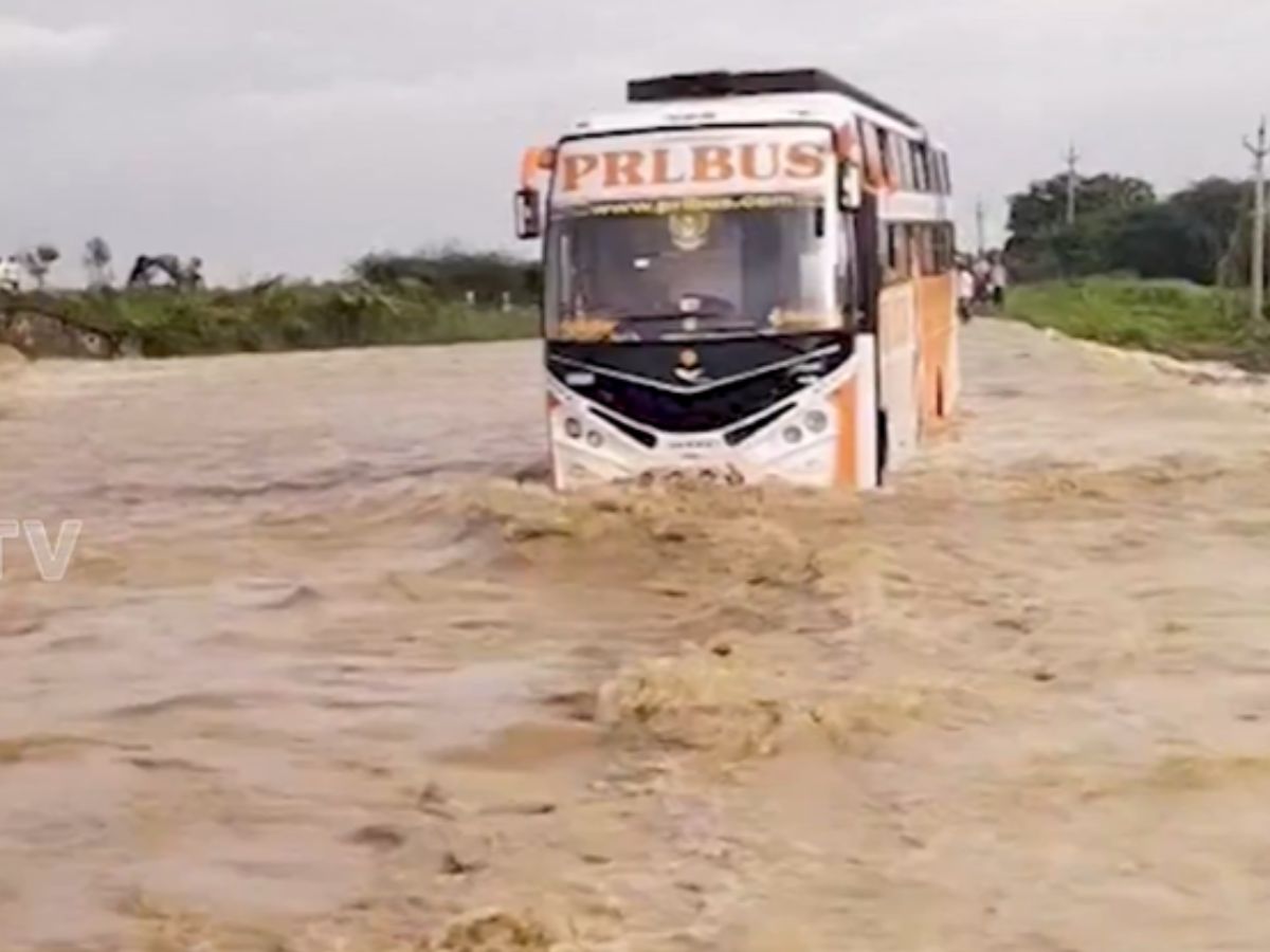 bus