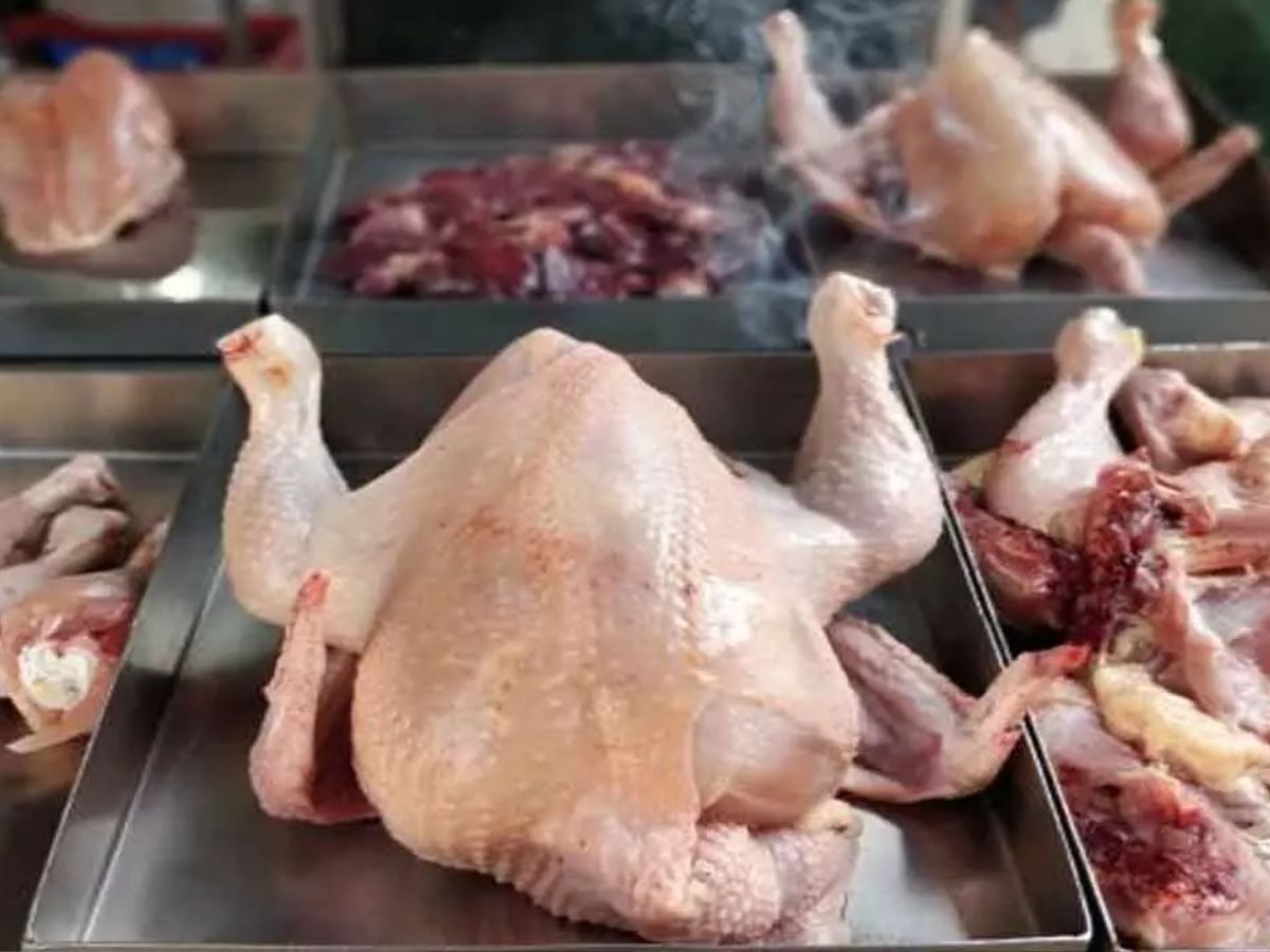 chicken