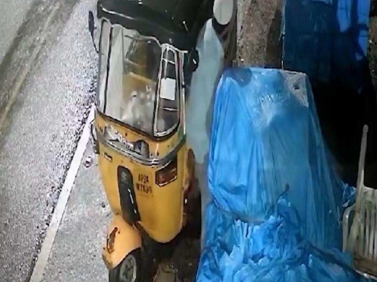An auto driver stole coconut shells at kbr park