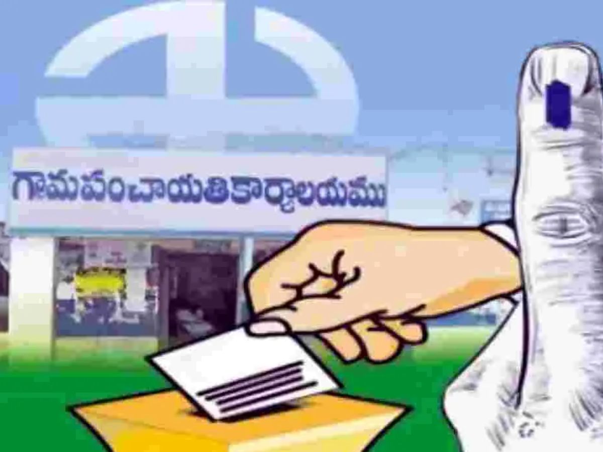 Local body elections in AP 3 months in advance