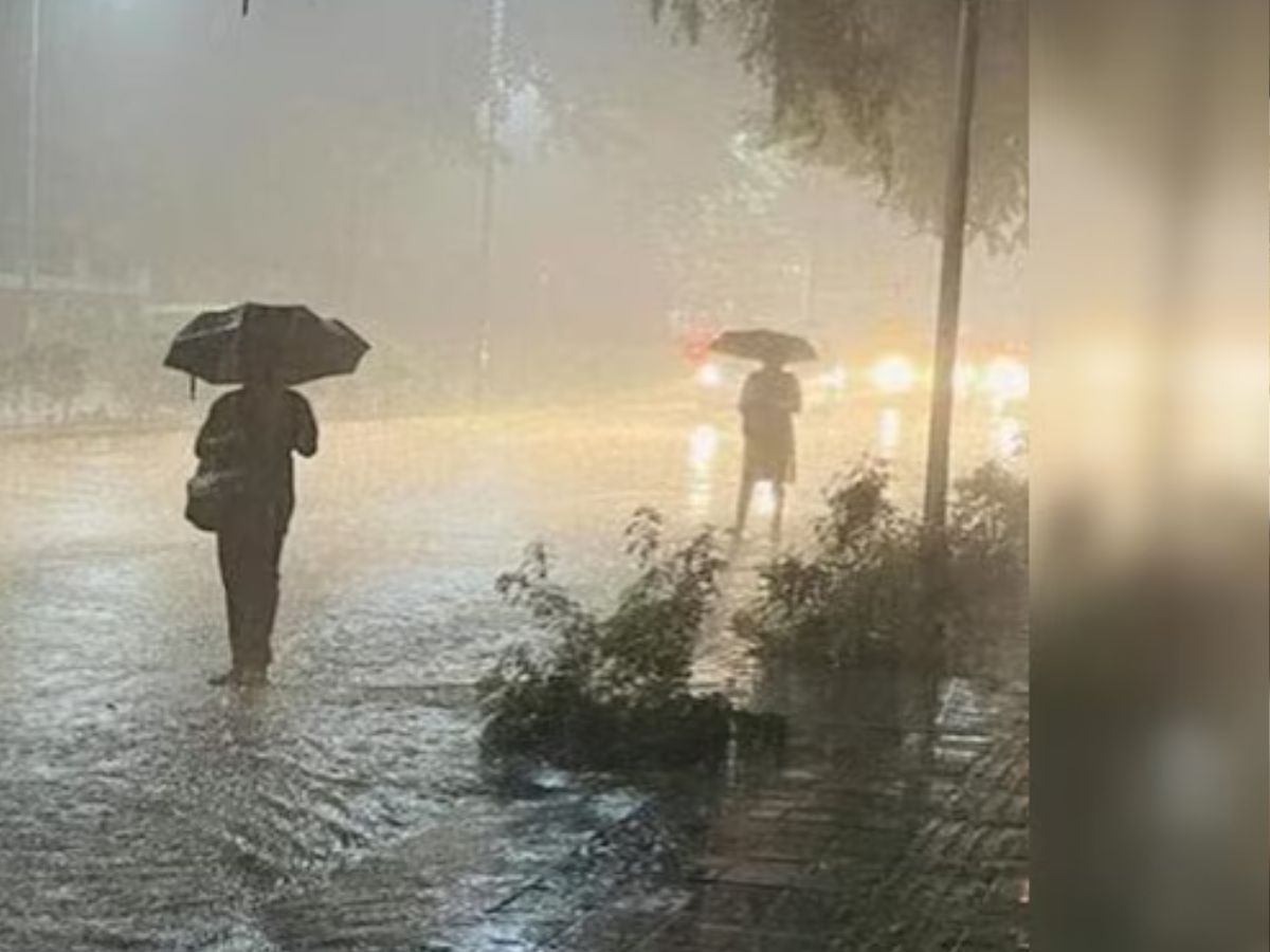 telangana rains, rains,