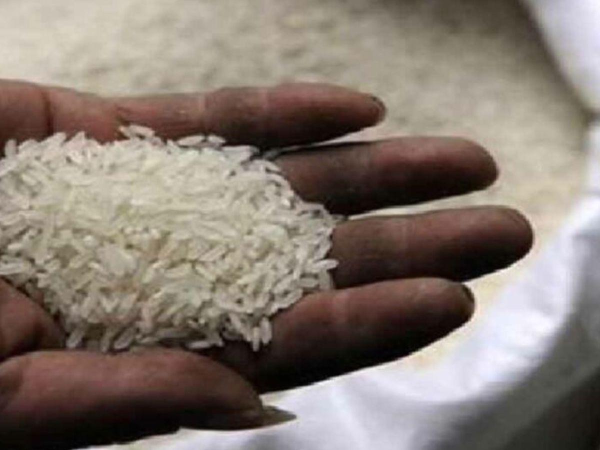 rice