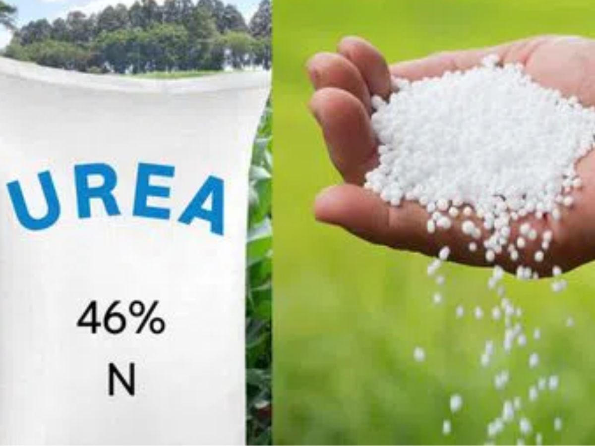 urea