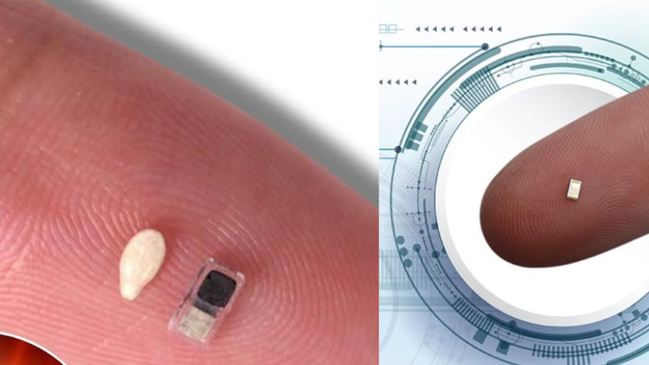 Incredible Innovation: The Rice-Sized Pacemaker Revolutionizing Heart Care