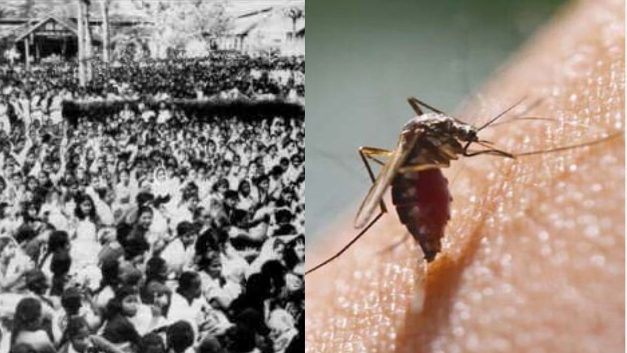 A Milestone in Anti-Malaria History – The Landmark Conference 100 Years Ago