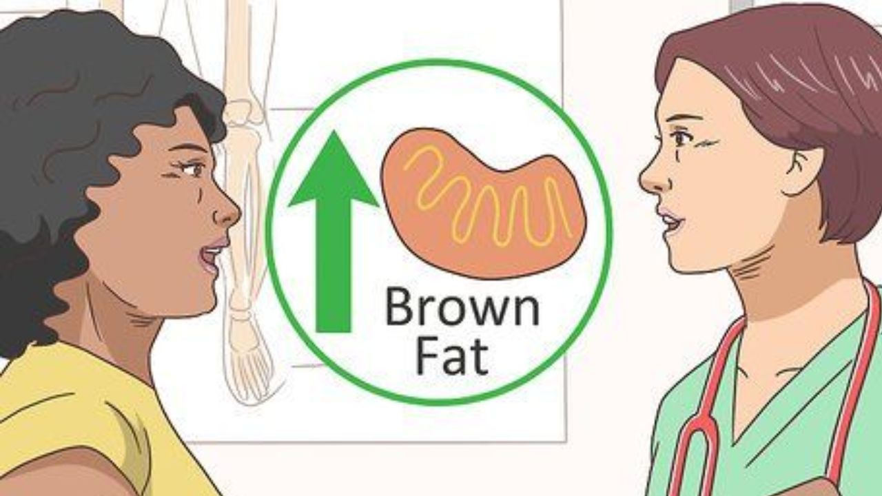 How Brown Fat Boosts Your Health When Cold Strikes