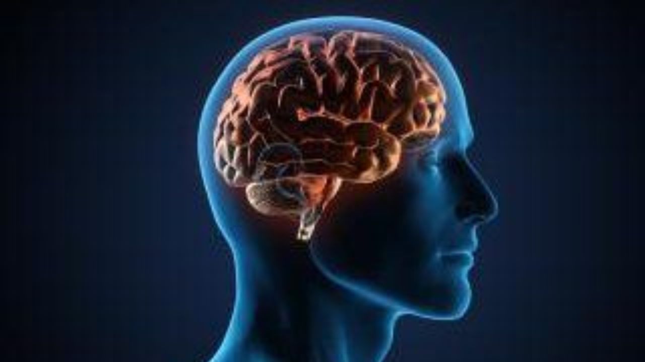 5 Habits That Work Like Magic to Keep Your Memory Sharp After 40!