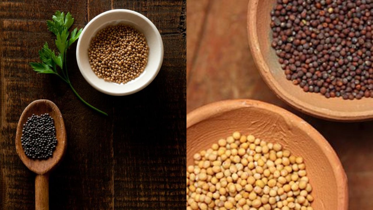 Black vs. White Mustard Seeds: What Are the Differences in Health Benefits?